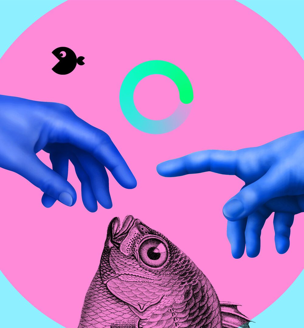 design agency, leamington spa, graphic design warwickshire, creative agency warwick, littlefish, design agency leamington spa, midlands creative agency