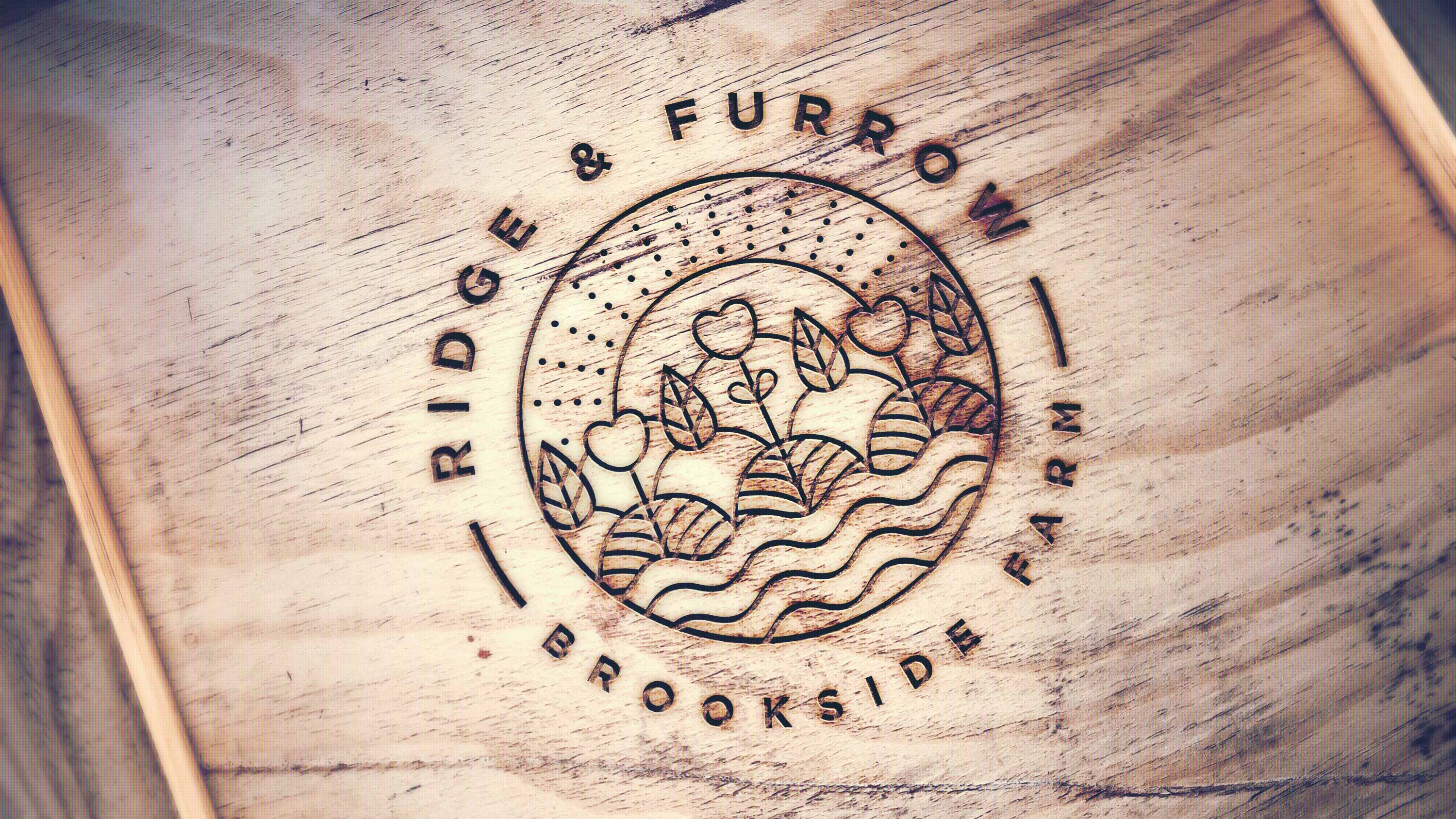 logo engraving, branding, design agency, leamington spa, graphic design warwickshire, creative agency warwick, littlefish, design agency leamington spa, midlands creative agency