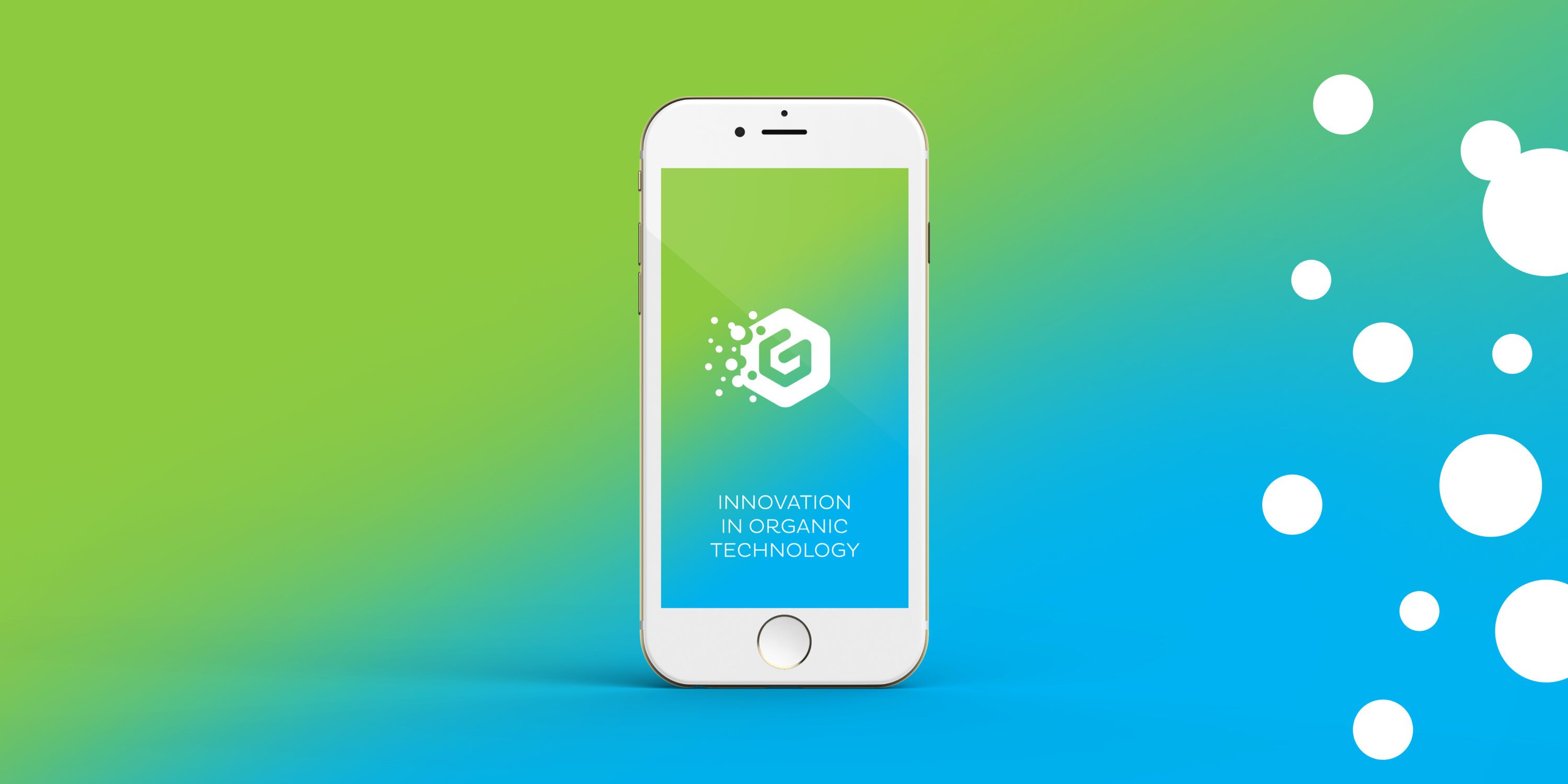 web development, Design for web, design agency, leamington spa, graphic design warwickshire, creative agency warwick, littlefish, design agency leamington spa, midlands creative agency