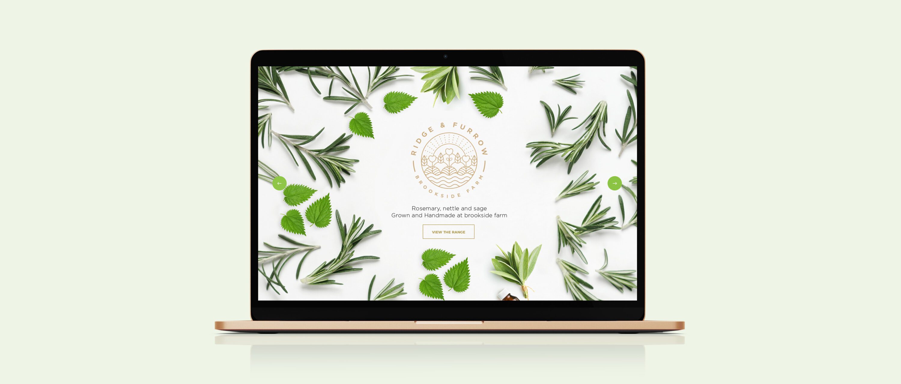 web design, UI, UX, design agency, leamington spa, graphic design warwickshire, creative agency warwick, littlefish, design agency leamington spa, midlands creative agency