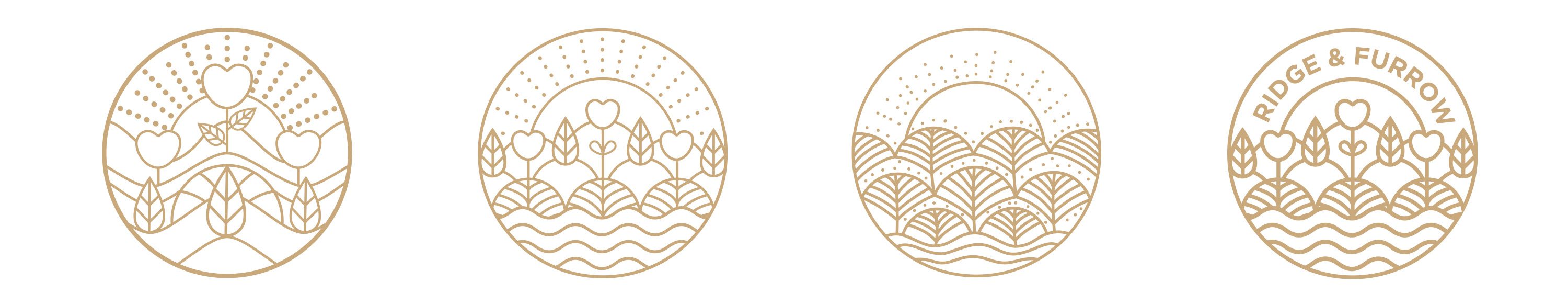 logo design, logo development, design agency, leamington spa, graphic design warwickshire, creative agency warwick, littlefish, design agency leamington spa, midlands creative agency