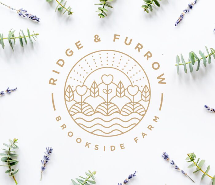 logo dev, logo design, design agency, leamington spa, graphic design warwickshire, creative agency warwick, littlefish, design agency leamington spa, midlands creative agency