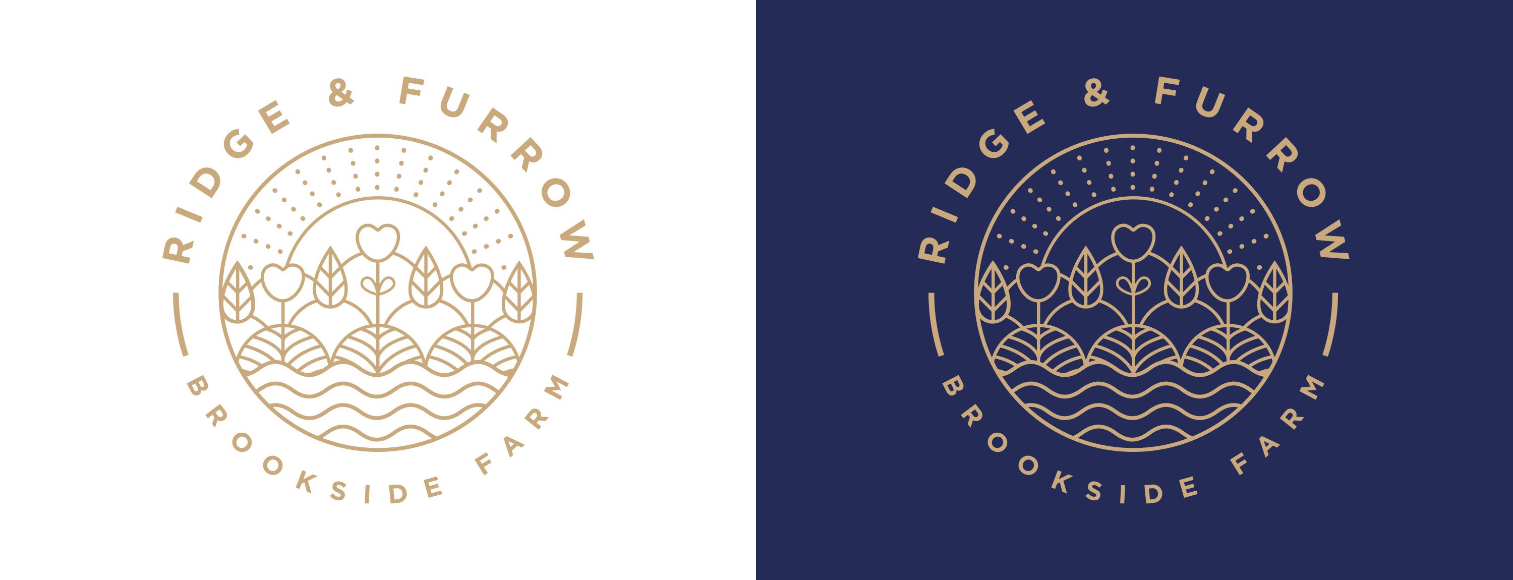logo design, branding, leamington spa, graphic design warwickshire, creative agency warwick, littlefish, design agency leamington spa, midlands creative agency