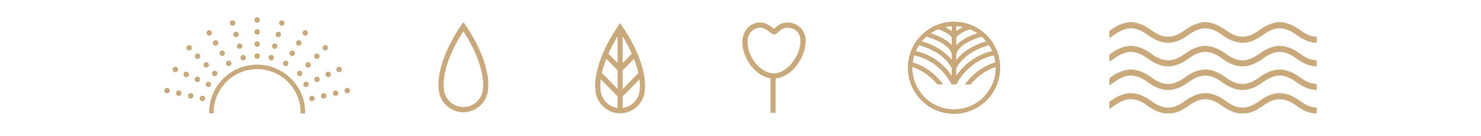 icon design, design agency, graphic design warwickshire, creative agency warwick, littlefish, design agency leamington spa, midlands creative agency